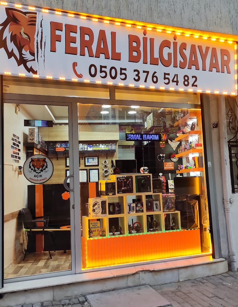 Feral Bilgisayar görseli