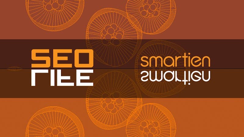 Smartien İzmir Web Tasarım SEO Sosyal Medya Danışmanlık ve Grafik Tasarım Firması görseli