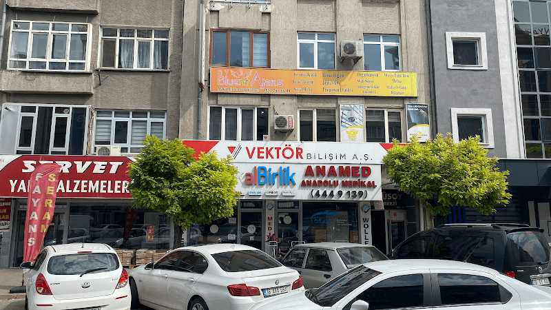 VEKTÖR İnovasyon Bilişim Yazılım A.Ş görseli
